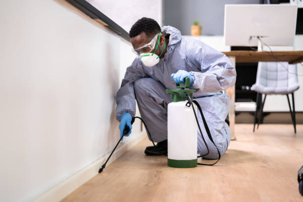 Best Residential Pest Control  in New Philadelphia, OH